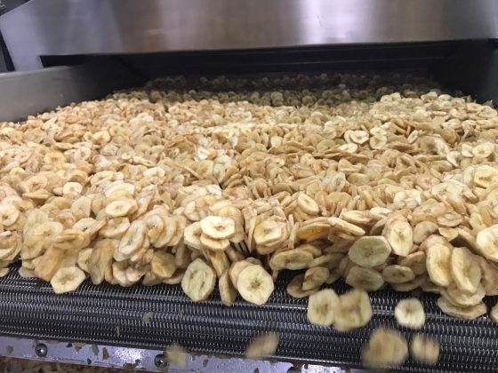 Feedback of banana chips production line