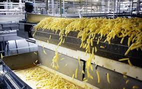Shipping French fries production line to America