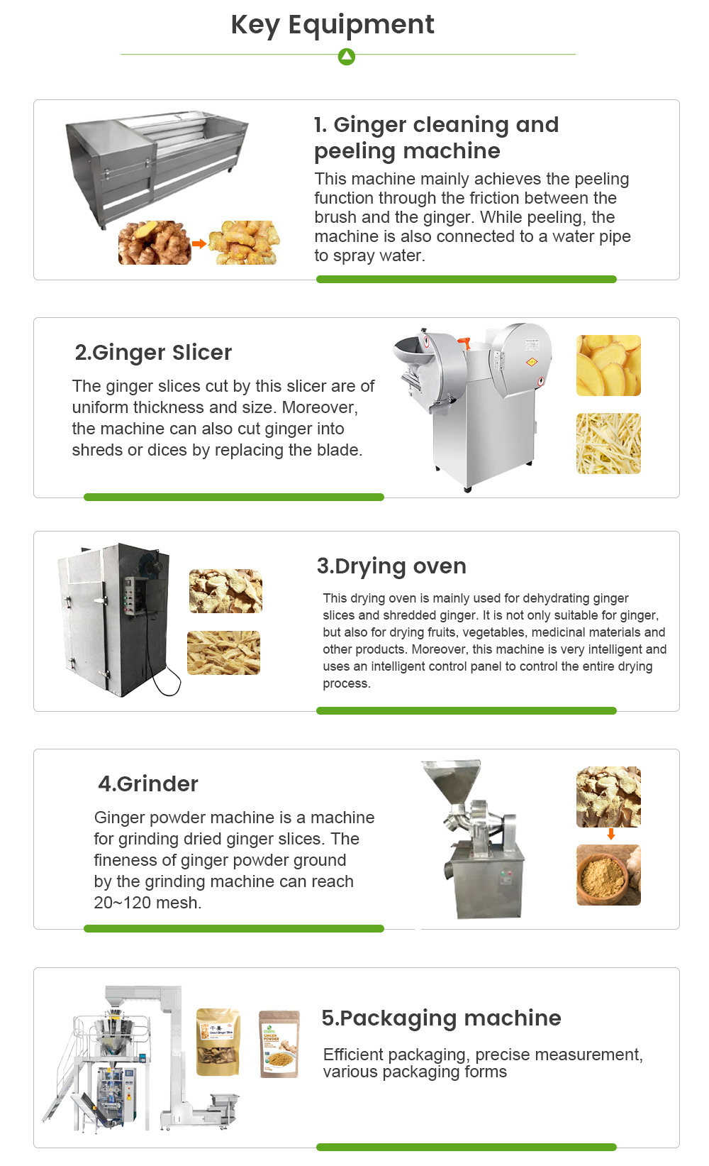 ginger processing line -  - 5