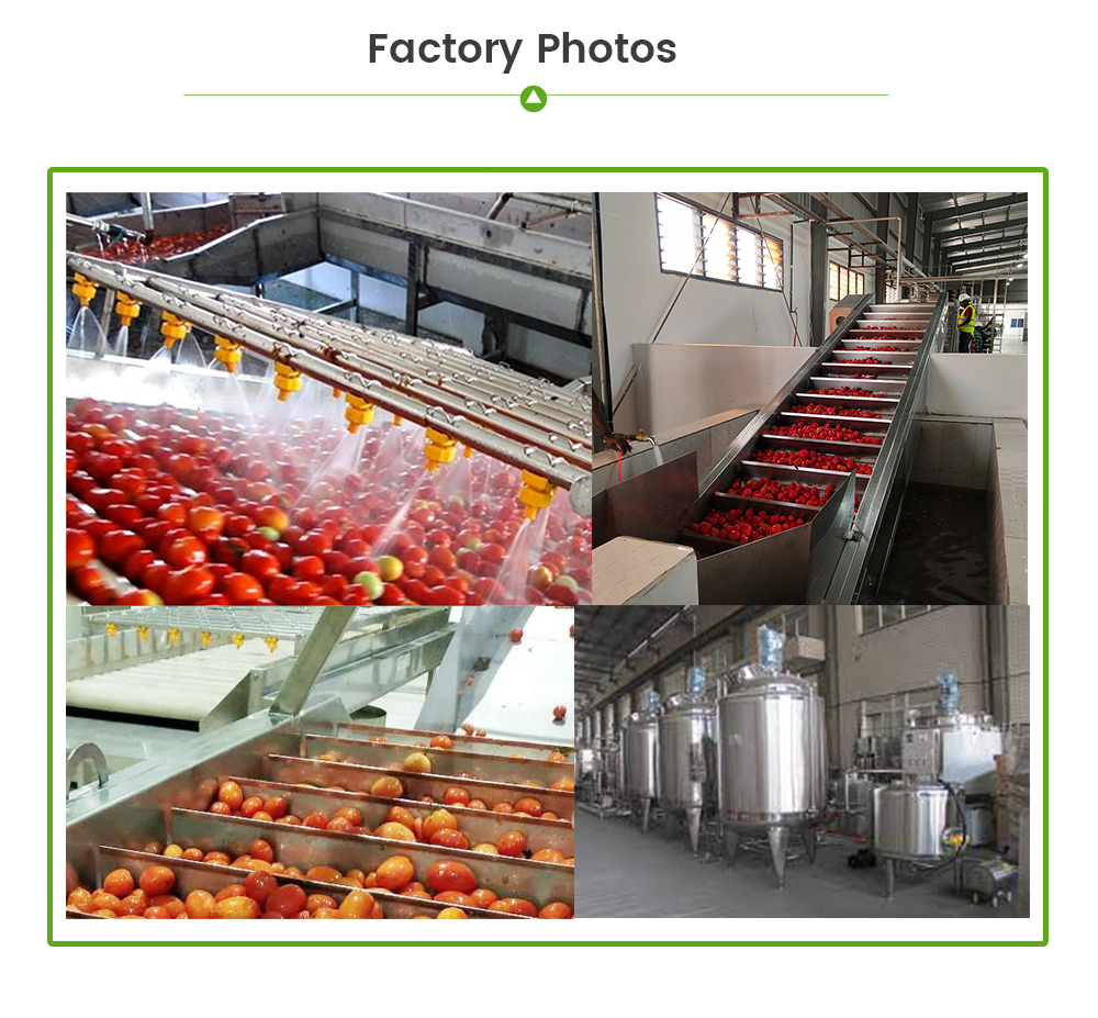 Ketchup/Tomato Paste Production Line -  - 7