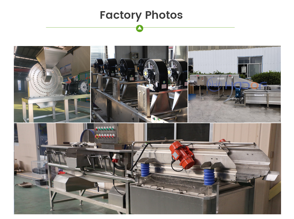 Cassava Processing Line -  - 7